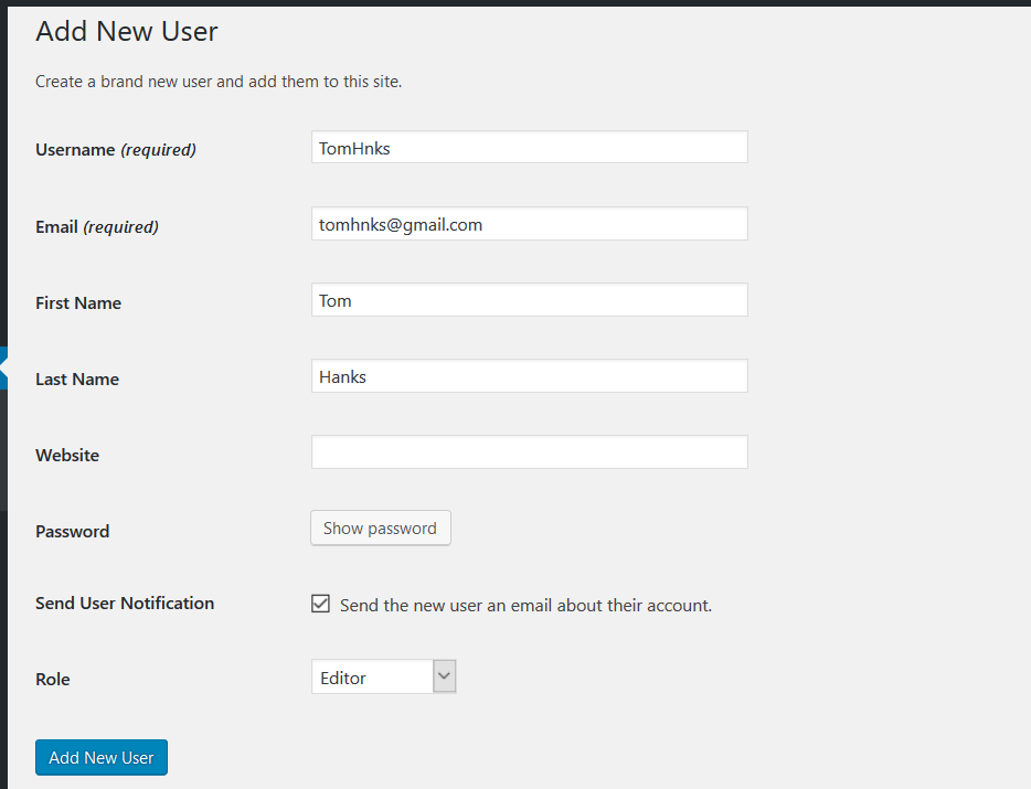 Adding new WordPress user as Editor