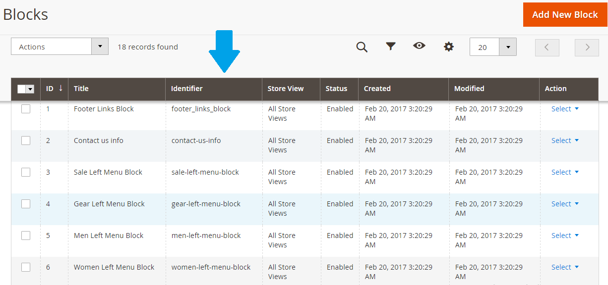 All currently enabled Magento blocks are visible