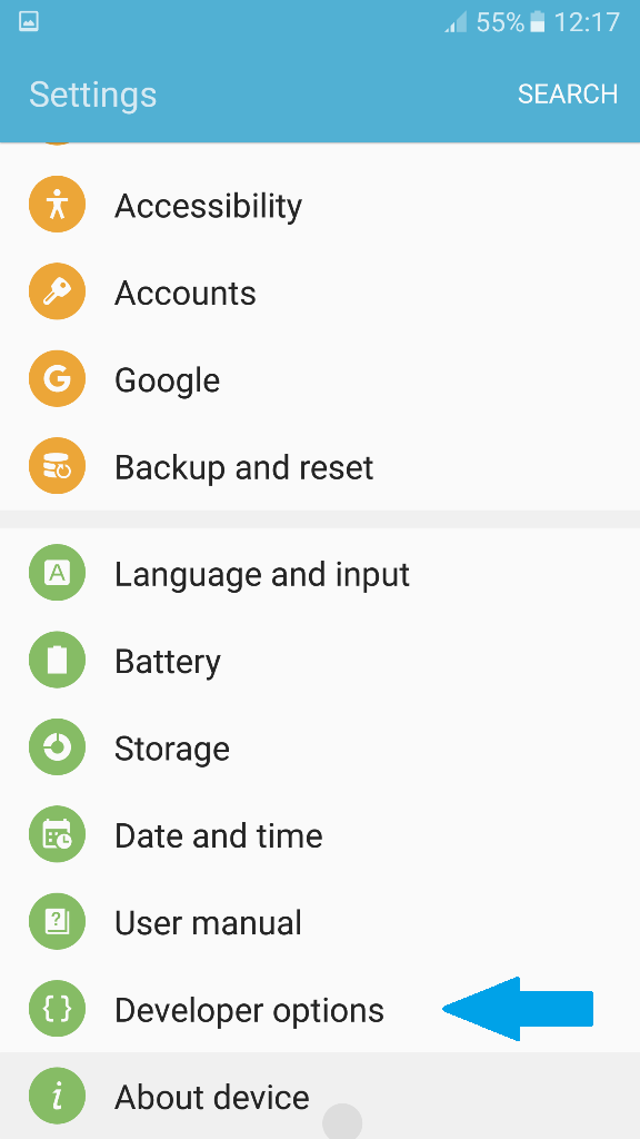 Android Developer Option visible under Settings