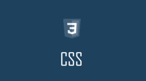 CSS Tutorial