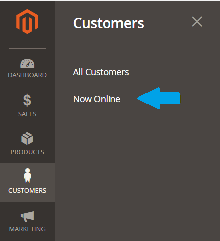 Check Magento online customers