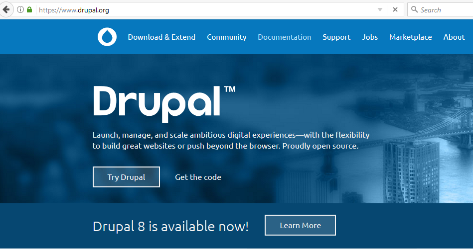 complete working drupal websites for sale