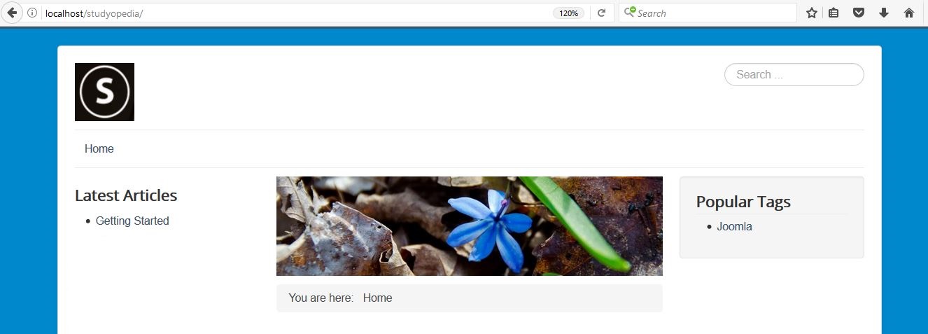 Joomla website after changing colors
