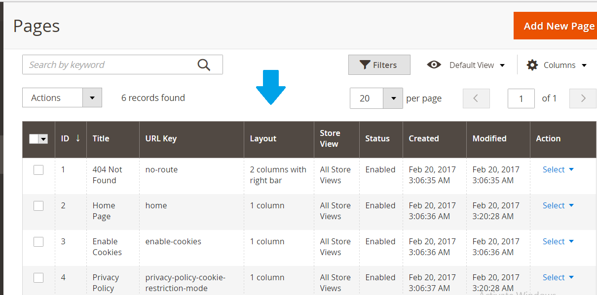 Magento Store pages visible
