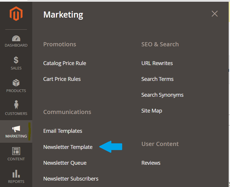 Reaching Magento Newsletter Template section