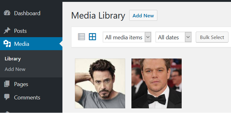 Reaching WordPress media library