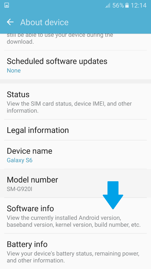Select Software Info to Enable Developer Mode