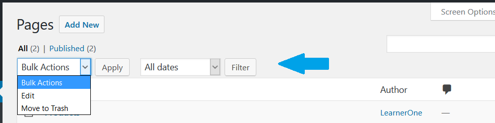 WordPress Pages options