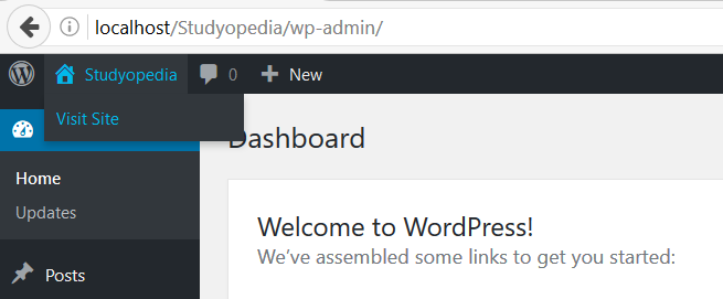 WordPress Visit Site Option