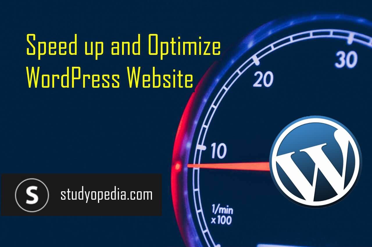 Tips to Optimize your WordPress website