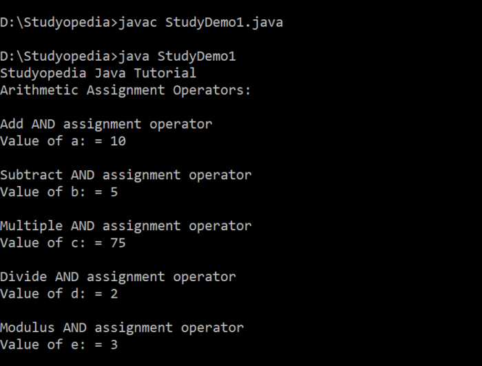 java assignment operators output