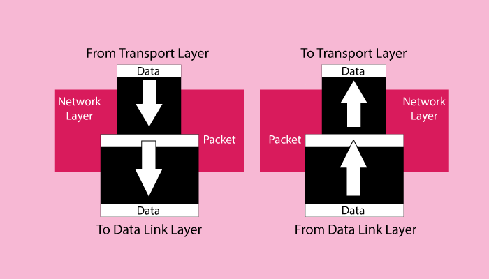 Network Layer in OSI Model