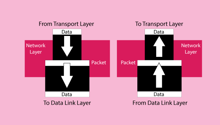 network layer model