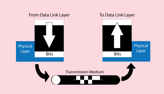 Physical Layer in OSI Model