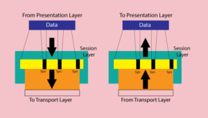 Session Layer in OSI Model - Studyopedia