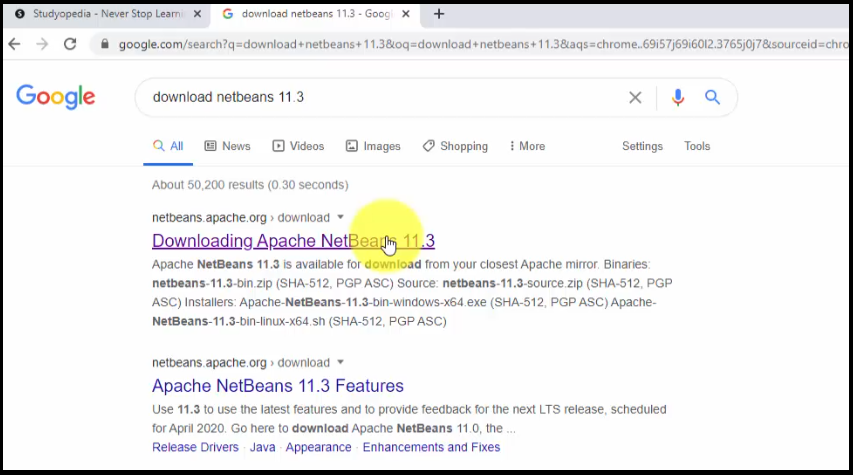 Figure 1- Search NetBeans Download on Google