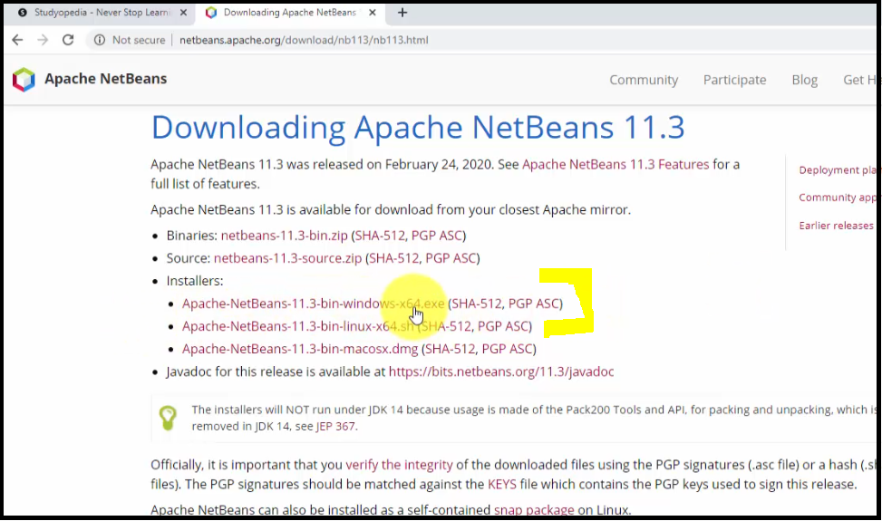 Figure 2- Downloading NetBeans 11.3