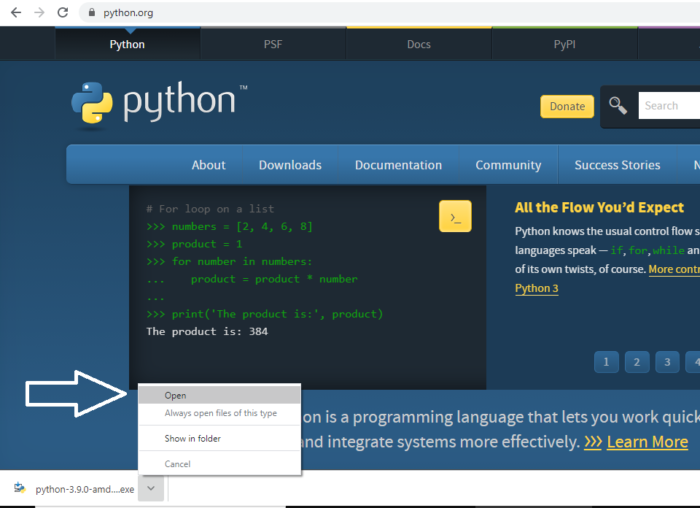 download webstorm python