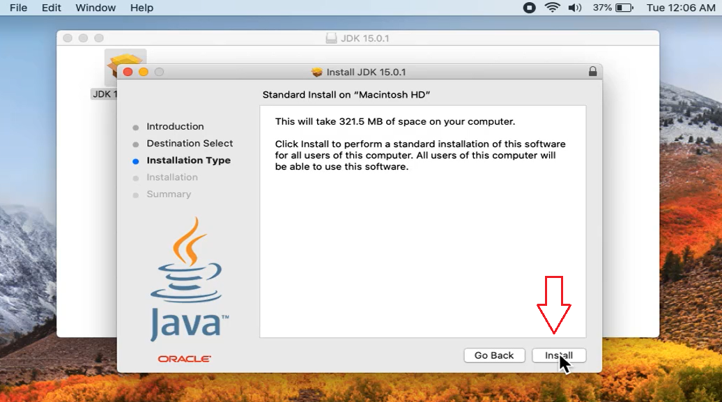 Install Type for JAVA 15.0.1