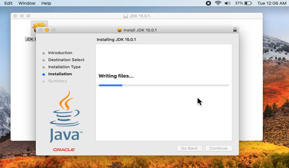 Java 15 installation begins
