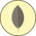 MongoDB Tutorial