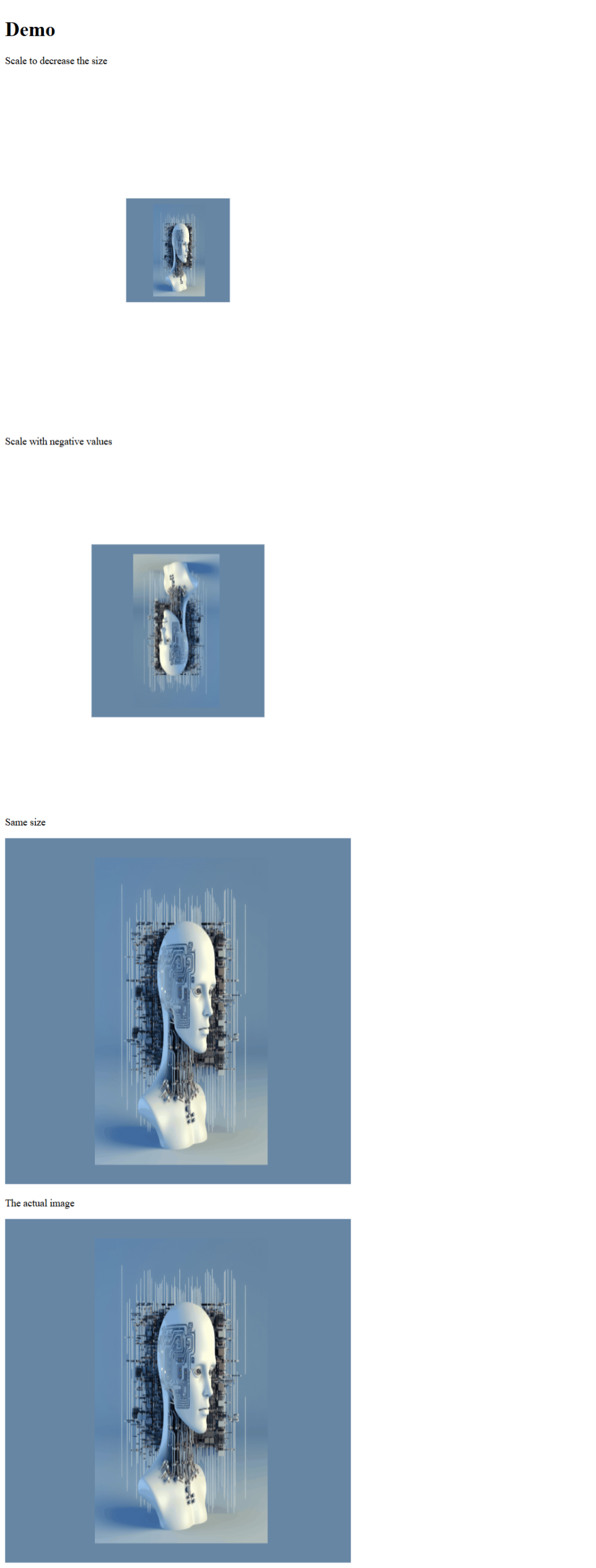 scale3d method in css