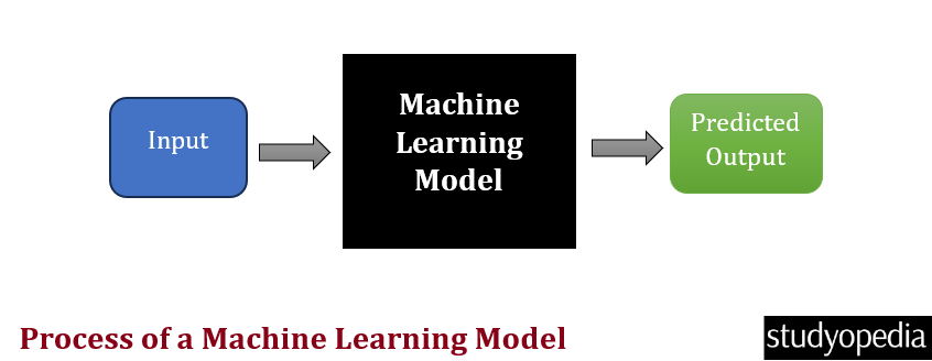 Machine Learning Model