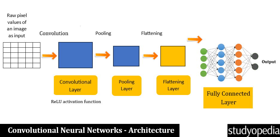 Convolutional Neural Networks (CNN) Architecture