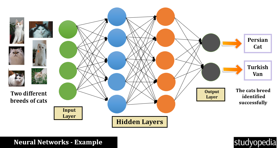 Neural Networks Example