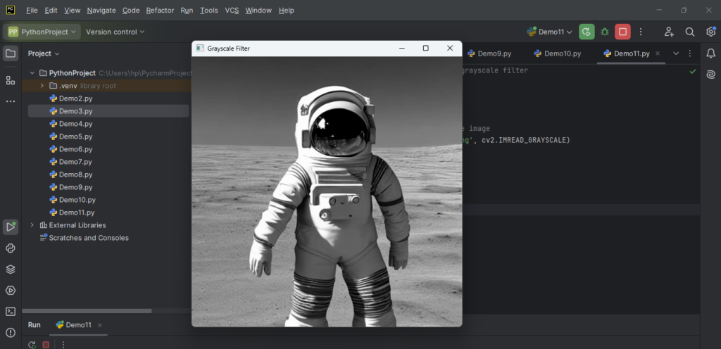 Set a Grayscale filter with OpenCV