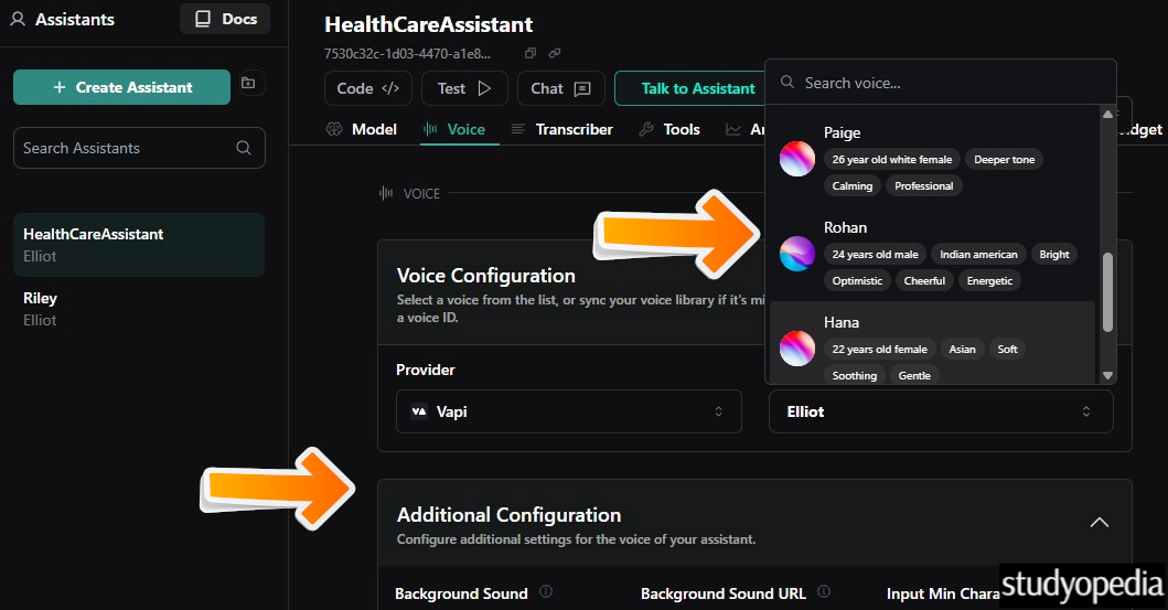 Set a Voice for the AI Agent