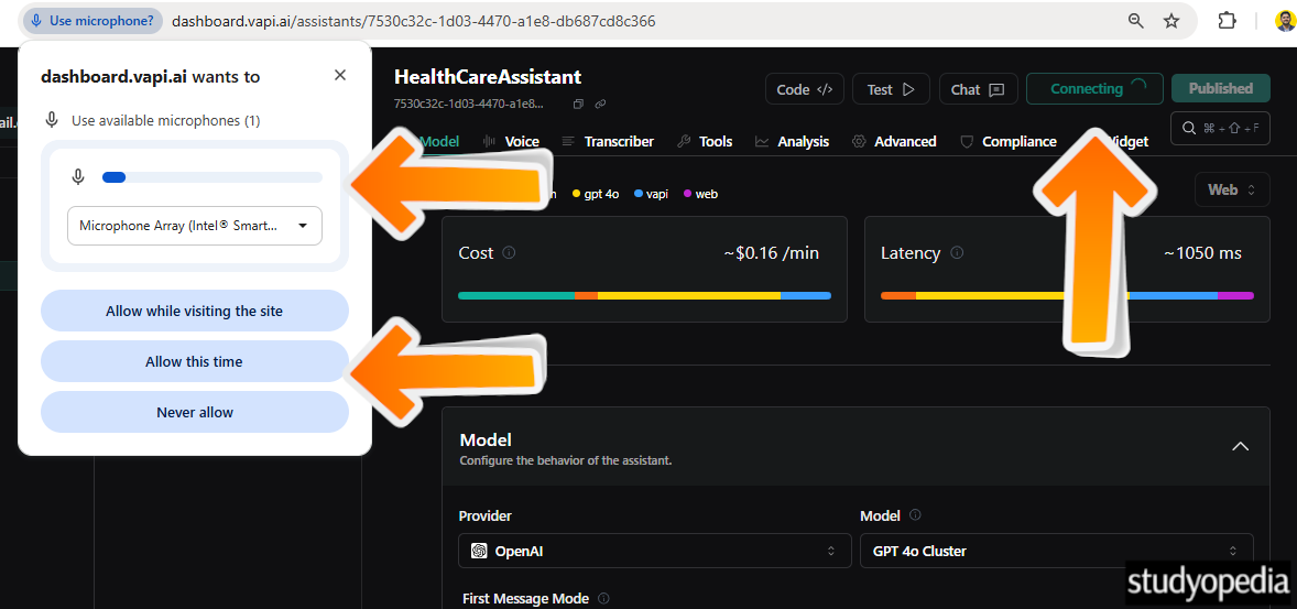 Connecting to the AI Voice Agent