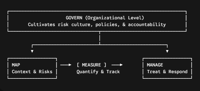 NIST AI Risk Management